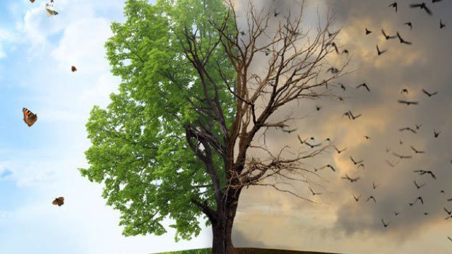 En peligro los recursos naturales en México En peligro los recursos naturales en México