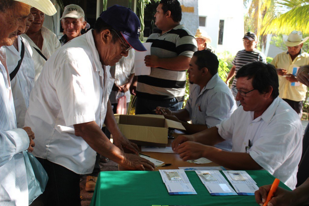 Reemplazan tarjetas de Proagro Productivo
