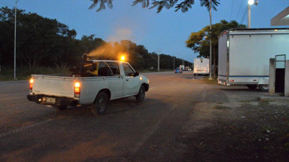 Disminuyen los moscos en Mérida: SSY Disminuyen los moscos en Mérida: SSY