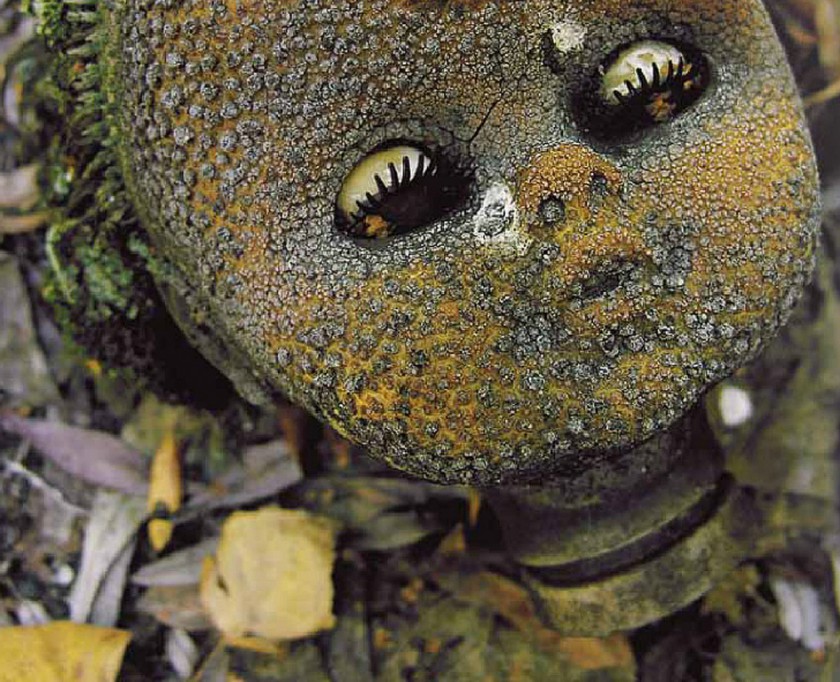 Presentarán "Tchernobyl forever" en maya Presentarán "Tchernobyl forever" en maya