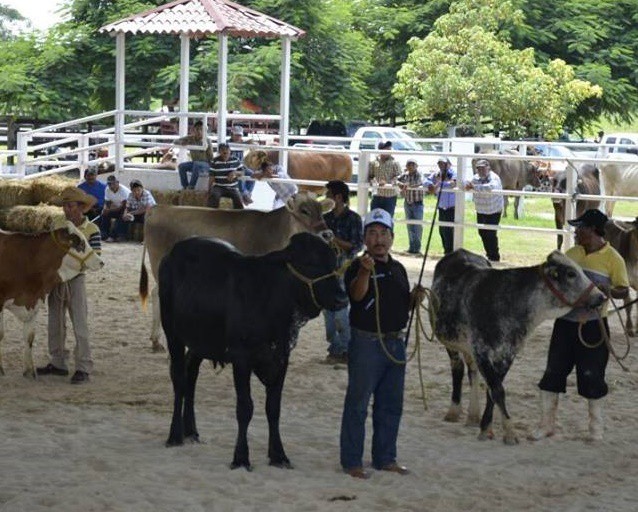 Premian en Tizimín a productores lecheros Premian en Tizimín a productores lecheros