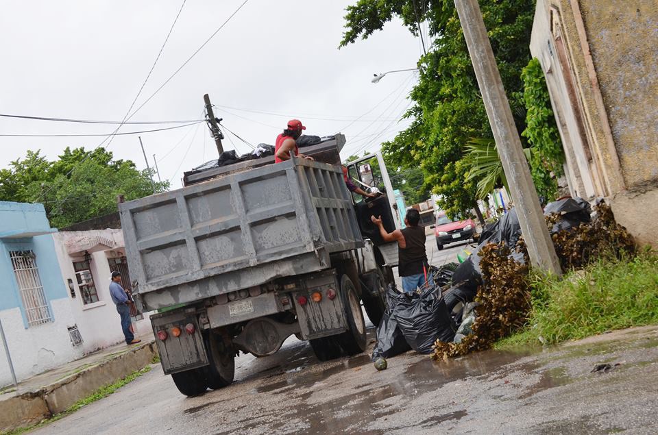 Habrá descacharrización este fin de semana Habrá descacharrización este fin de semana