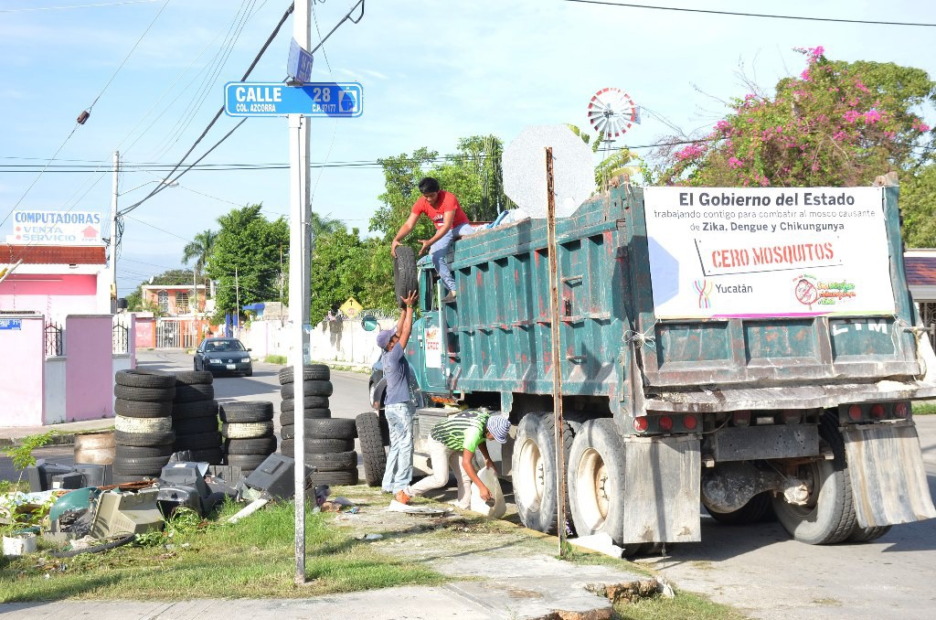 Realizan descacharrización en Mérida Realizan descacharrización en Mérida