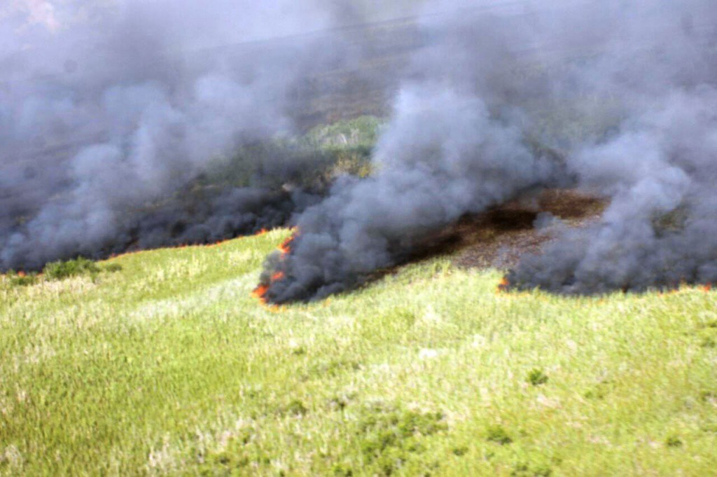 Captura de cangrejo, posible causa de incendio en Dzilam Captura de cangrejo, posible causa de incendio en Dzilam