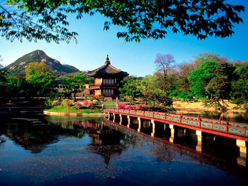 Música yucateca en Corea del Sur Música yucateca en Corea del Sur