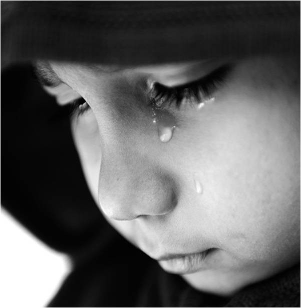 Urgente reconectar a los niños al mundo activo y a la vida: psicólogos Urgente reconectar a los niños al mundo activo y a la vida: psicólogos