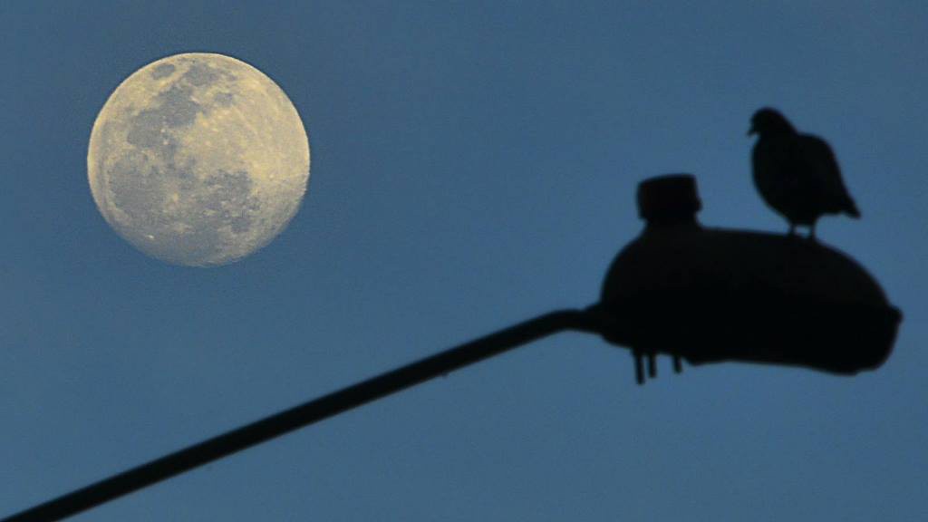 Hoy se verá la Súper Luna Hoy se verá la Súper Luna