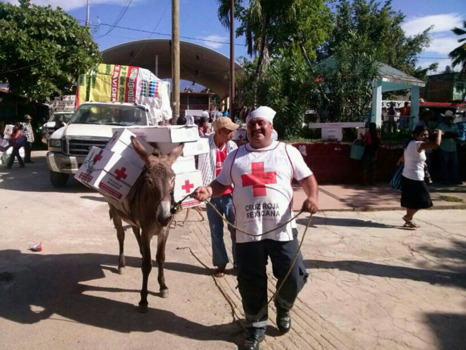 5 de diciembre día mundial del voluntariado 5 de diciembre día mundial del voluntariado