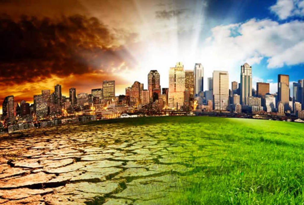 Ya comenzó el sexto evento de extinción masiva Ya comenzó el sexto evento de extinción masiva