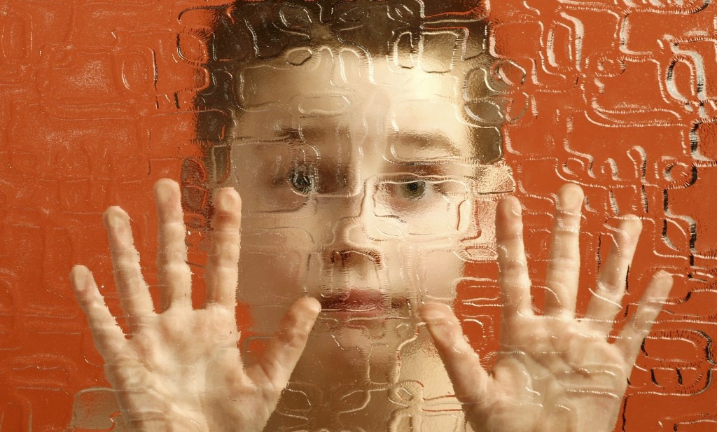 Realizan Congreso Internacional de Autismo en Mérida Realizan Congreso Internacional de Autismo en Mérida