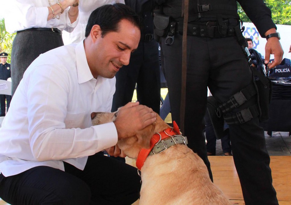 July se jubila después de 3 años de servicio July se jubila después de 3 años de servicio
