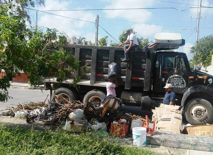 Operativo de descacharrización en Mérida Operativo de descacharrización en Mérida