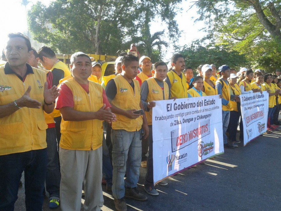 No bajan la guardia contra el mosco, en Tizimín No bajan la guardia contra el mosco, en Tizimín