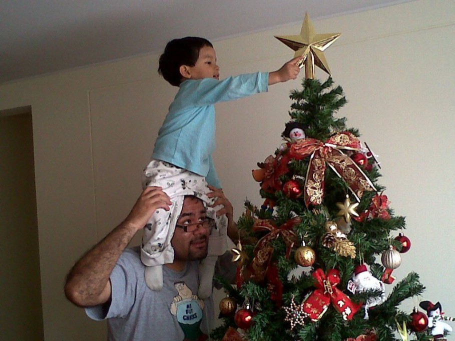 El árbol de Navidad, una tradición pagana El árbol de Navidad, una tradición pagana