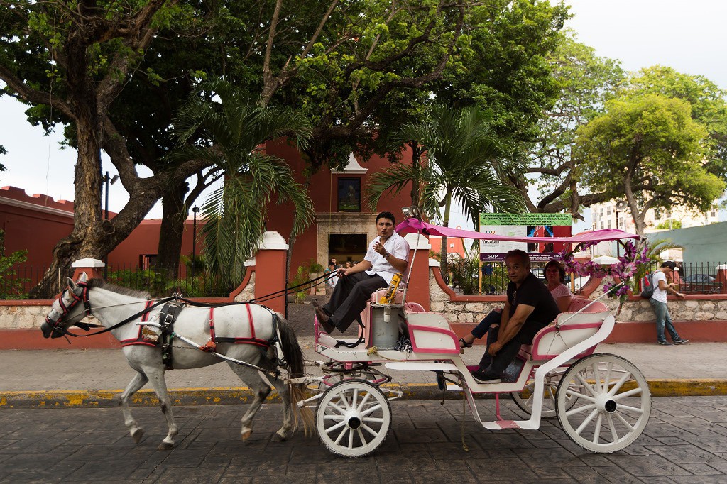Histórico cierre de año en Turismo Histórico cierre de año en Turismo