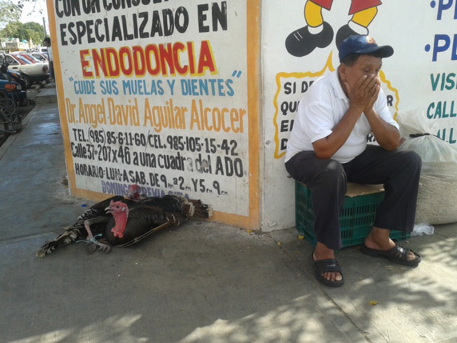 Pavo indio ya no se compra como antes Pavo indio ya no se compra como antes
