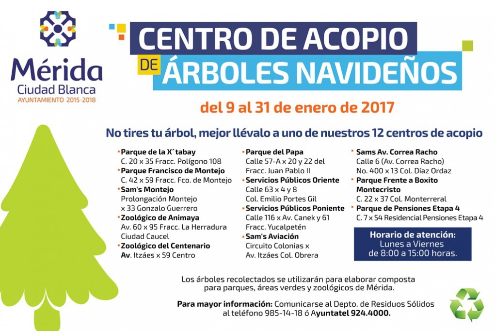 Listos 12 centros de acopio para pinos Listos 12 centros de acopio para pinos