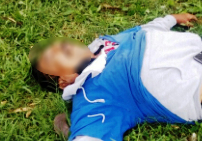 Muere jardinero del Ayuntamiento de Mérida Muere jardinero del Ayuntamiento de Mérida