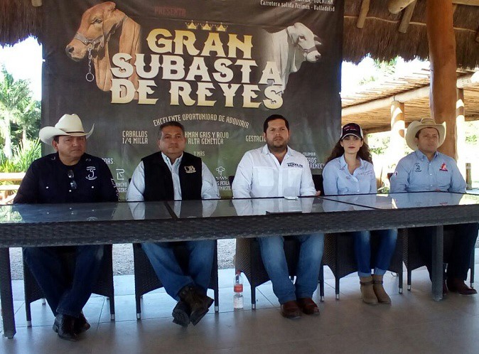 Subastarán un lote de 40 de animales en Tizimín Subastarán un lote de 40 de animales en Tizimín