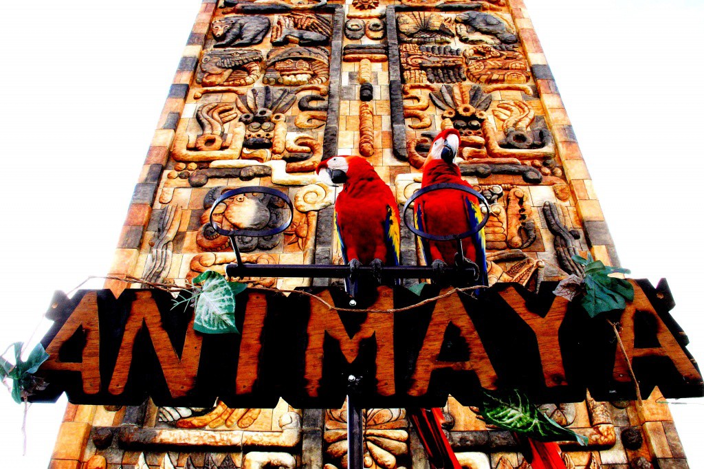 Habrá trenecitos y área de comida en Animaya