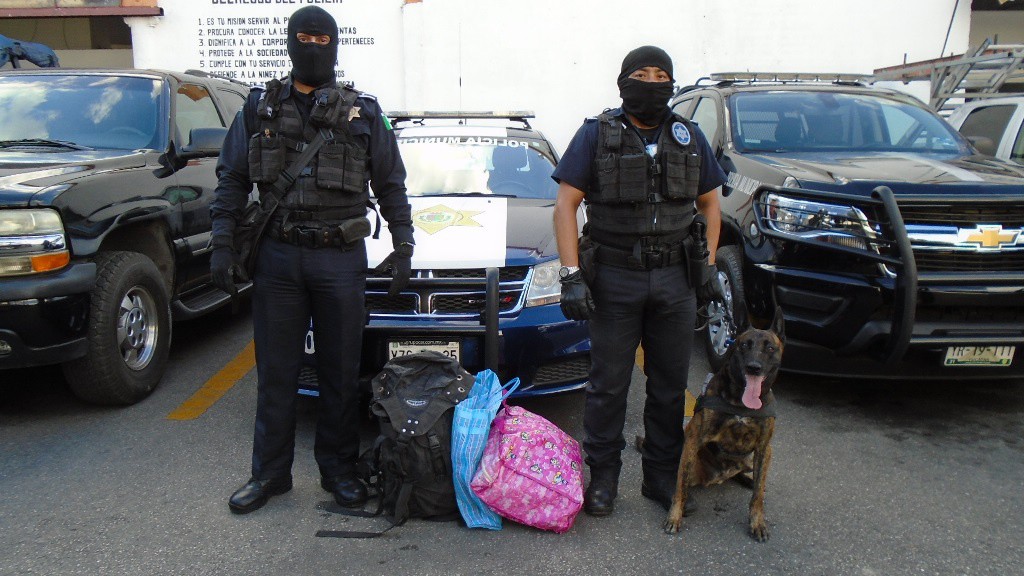 "Nicky" descubre 20 kg de marihuana "Nicky" descubre 20 kg de marihuana