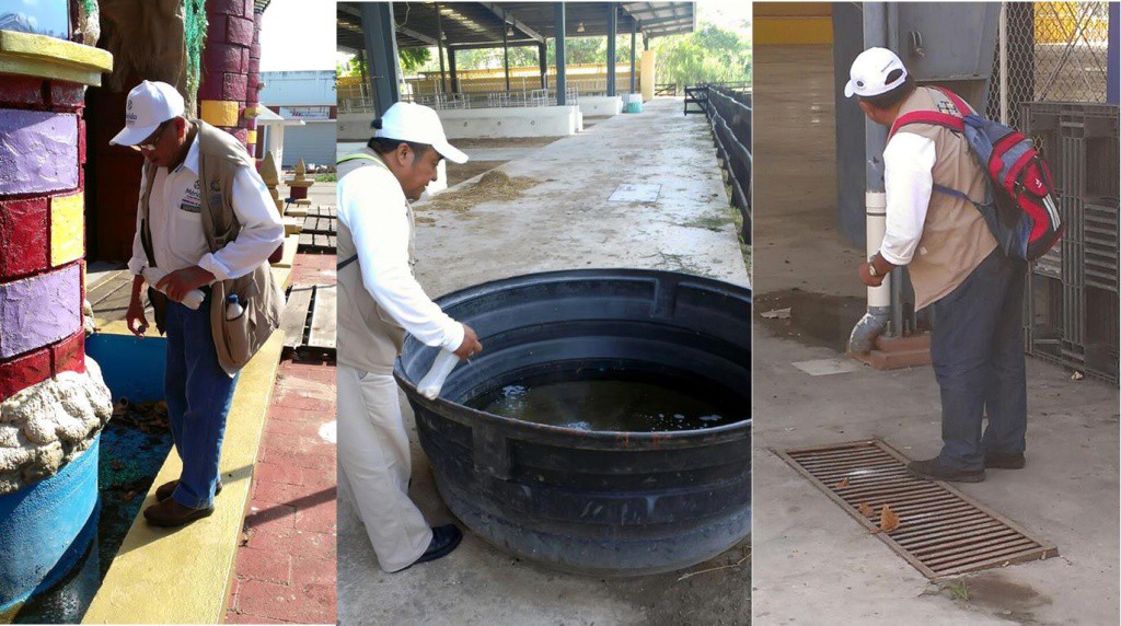 Realizan abatización y fumigación en Plaza Carnaval Realizan abatización y fumigación en Plaza Carnaval