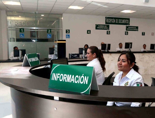 Anuncian promoción para tramitar su licencia sin costo Anuncian promoción para tramitar su licencia sin costo