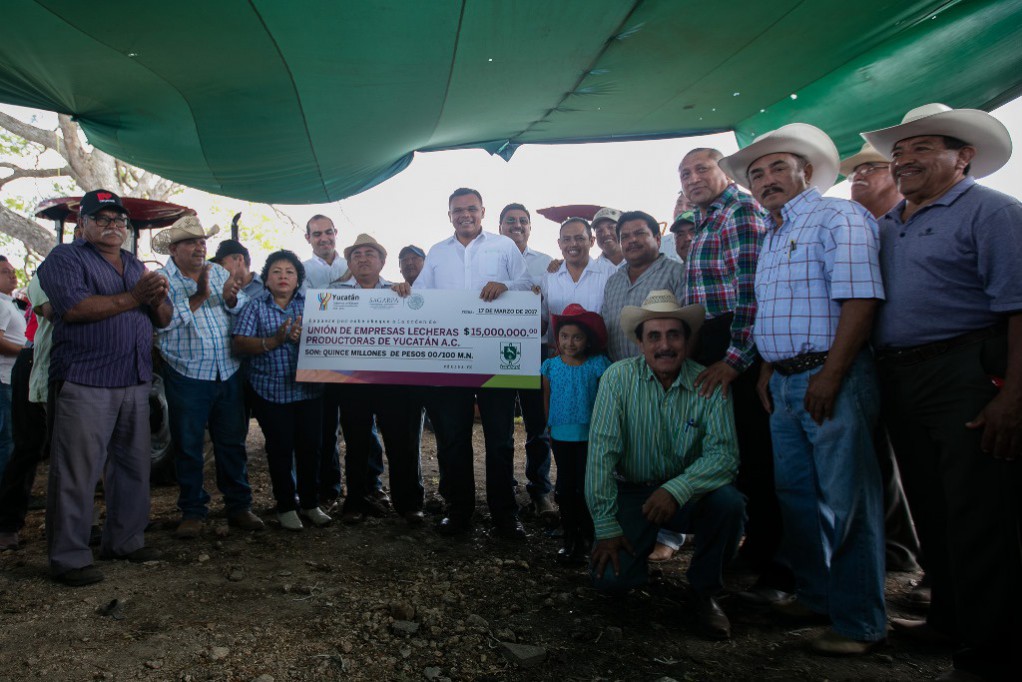 Producción lechera va en la ruta correcta Producción lechera va en la ruta correcta