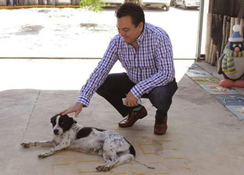 Trabajan por los Derechos de las mascotas Trabajan por los Derechos de las mascotas