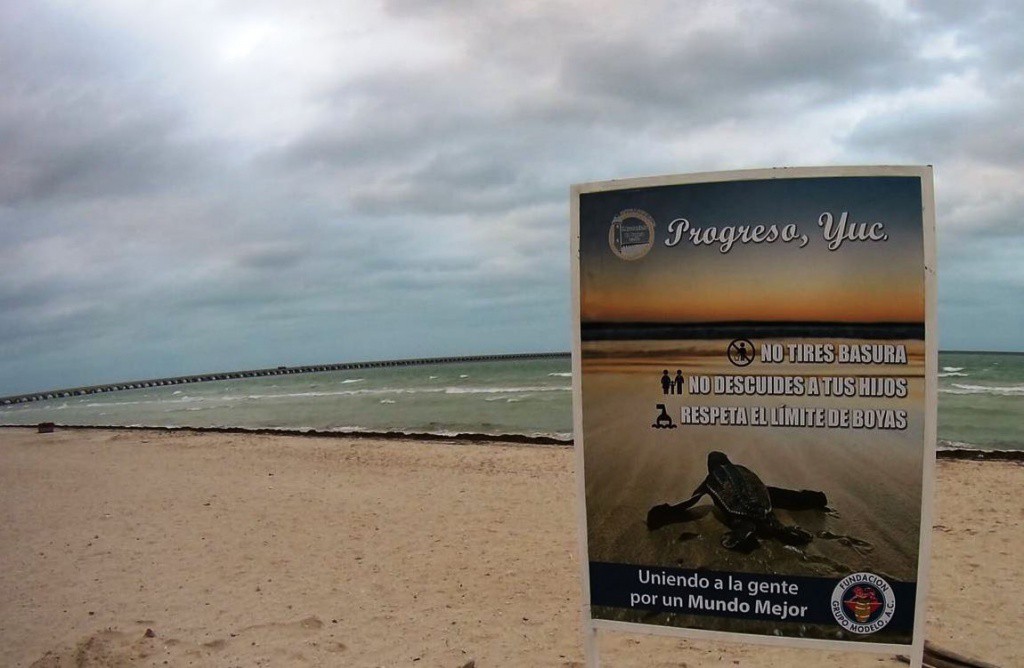 Aplican programa "Playa Segura" en Progreso Aplican programa "Playa Segura" en Progreso