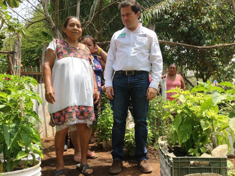 Avanzan contra la carencia alimentaria Avanzan contra la carencia alimentaria
