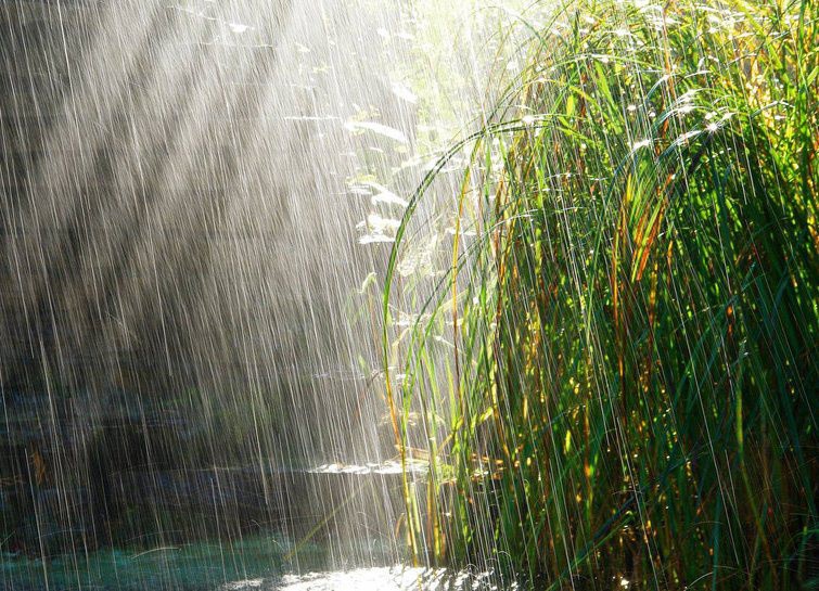 Exhortan a tomar medidas ante las lluvias Exhortan a tomar medidas ante las lluvias