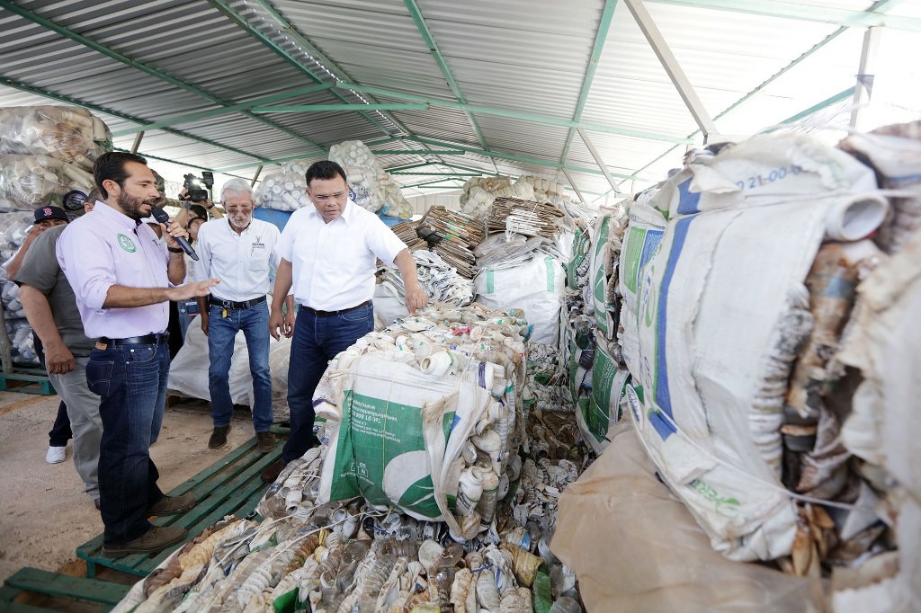 Trabajo por un Yucatán orgánico Trabajo por un Yucatán orgánico
