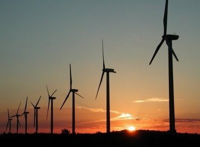 La electricidad eólica para cuatro empresas nacionales La electricidad eólica para cuatro empresas nacionales
