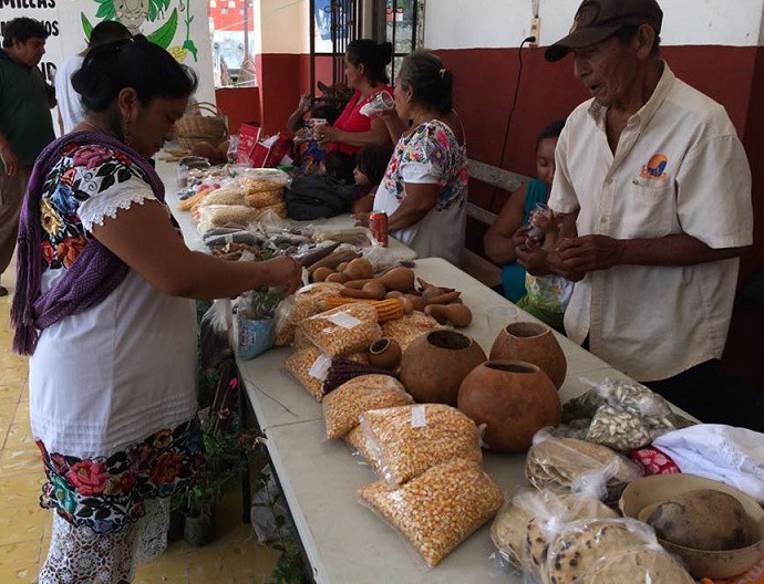 En Xocén intercambian conocimientos de cultivos En Xocén intercambian conocimientos de cultivos