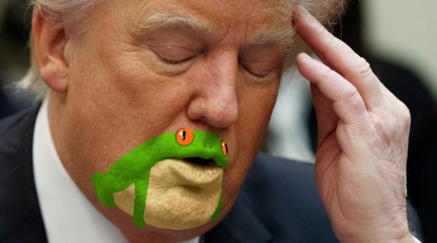 Convierten a Donald Trump en una rana Convierten a Donald Trump en una rana