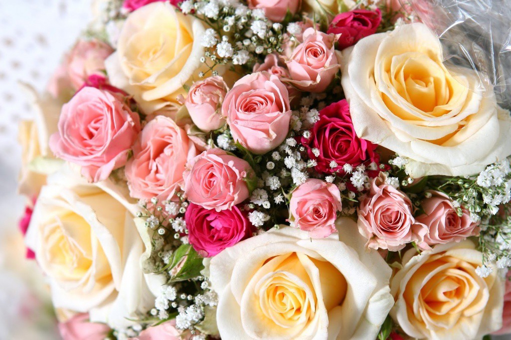 Este 10 de mayo regala flores a Mamá Este 10 de mayo regala flores a Mamá