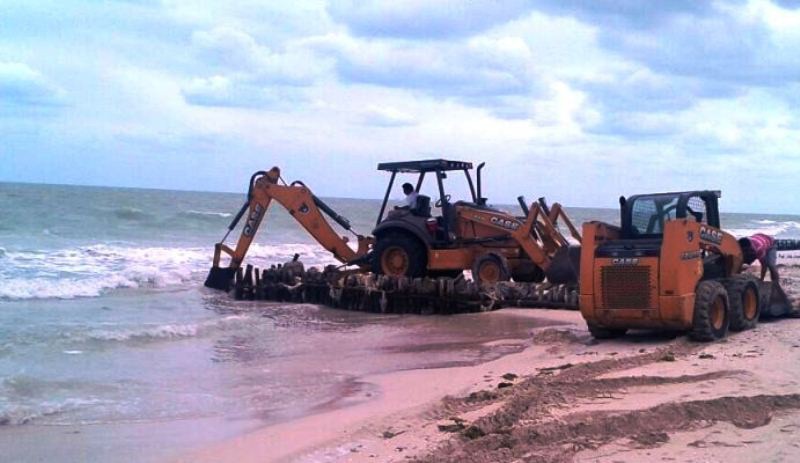 Retiran más de 200 espigones en costas yucatecas Retiran más de 200 espigones en costas yucatecas