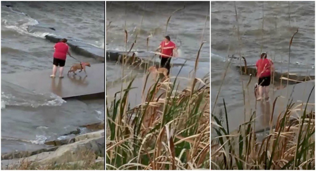 Mujer maltrata a su perro durante un paseo Mujer maltrata a su perro durante un paseo