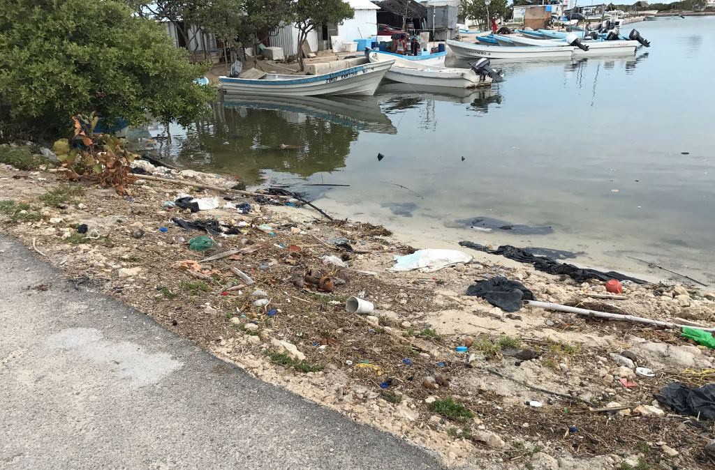 Invitan a limpiar el puerto de abrigo en Sisal Invitan a limpiar el puerto de abrigo en Sisal
