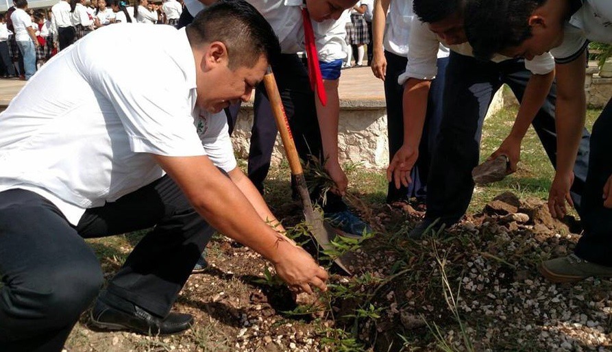 Continúa reforestación de 3 mil árboles en Valladolid Continúa reforestación de 3 mil árboles en Valladolid