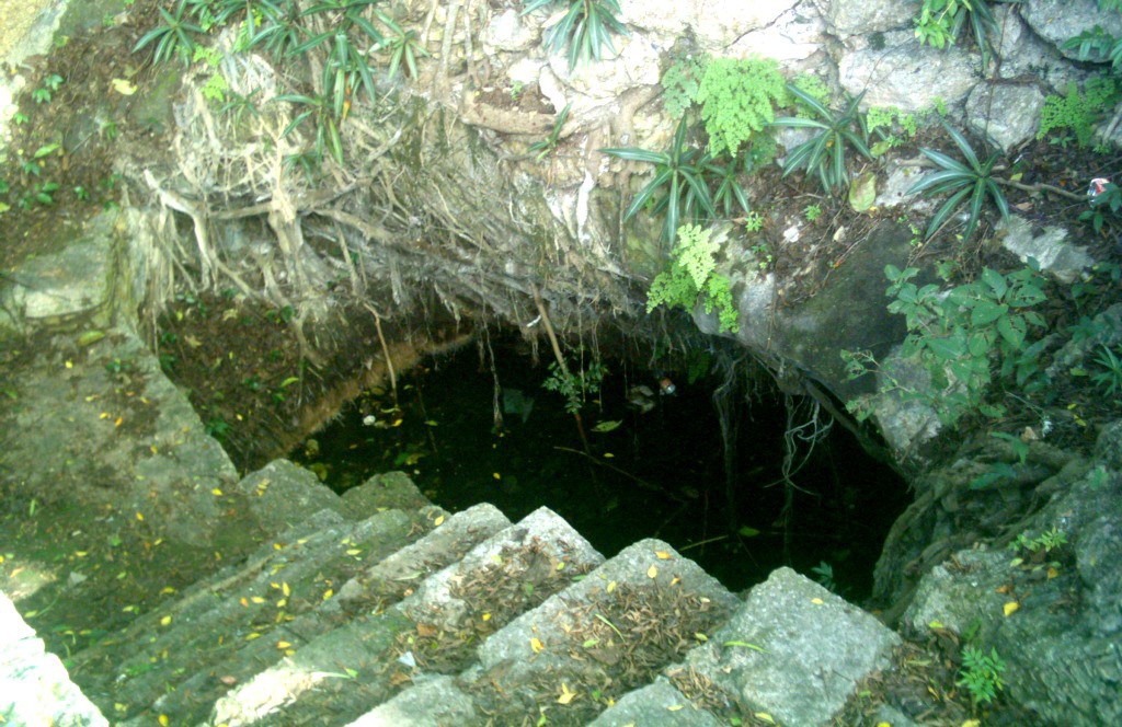 Proponen rescatar cenote en Cholul Proponen rescatar cenote en Cholul