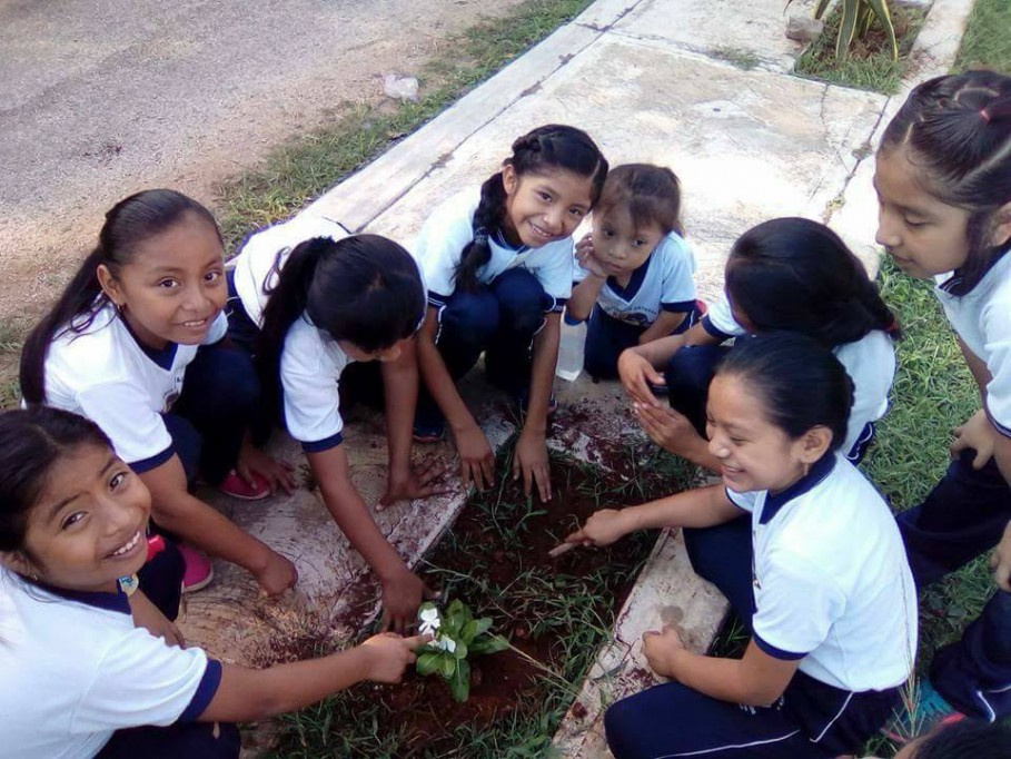 Enseñan a reforestar a estudiantes de Valladolid Enseñan a reforestar a estudiantes de Valladolid
