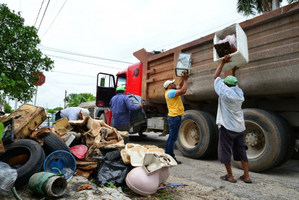 En marcha, segundo operativo masivo de descacharrización en Mérida En marcha, segundo operativo masivo de descacharrización en Mérida
