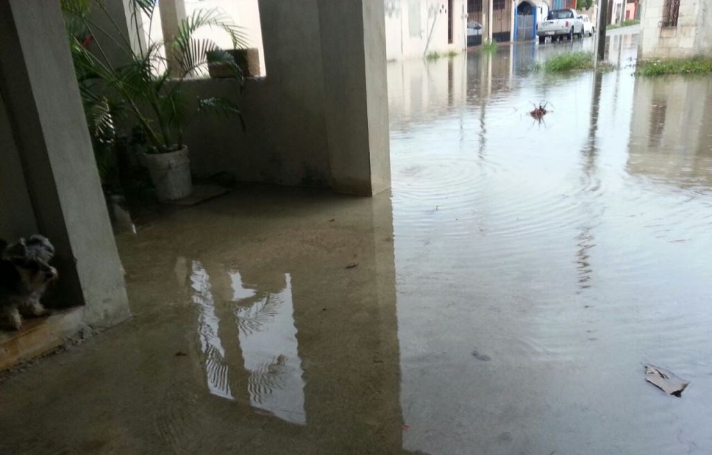Vecina de Vergel pide un pozo pluvial para su calle Vecina de Vergel pide un pozo pluvial para su calle