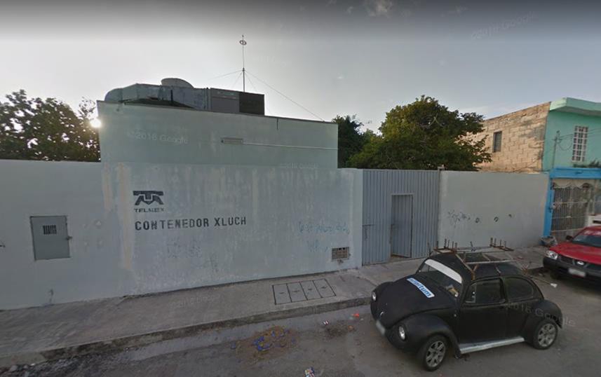Piden que se corte un árbol de una oficina Piden que se corte un árbol de una oficina