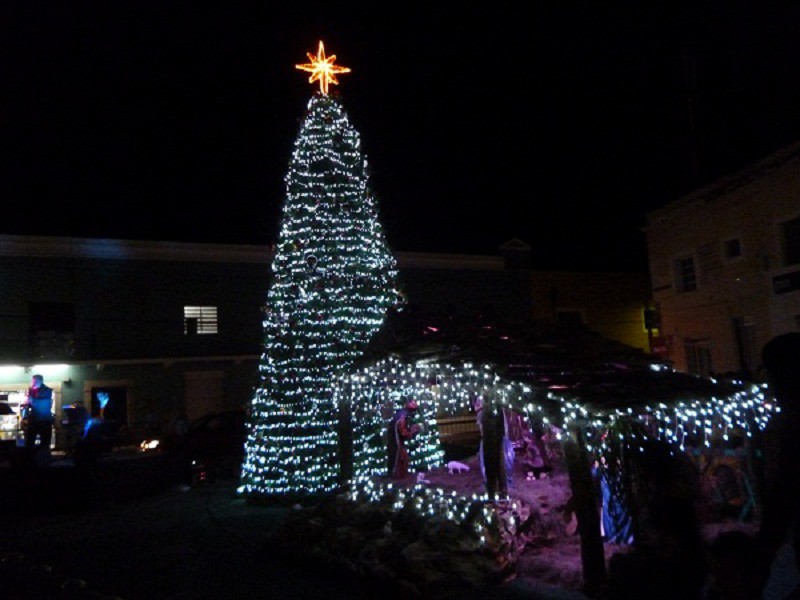 TIZIMIN: Encienden el Árbol de Navidad y El Nacimiento. TIZIMIN: Encienden el Árbol de Navidad y El Nacimiento.