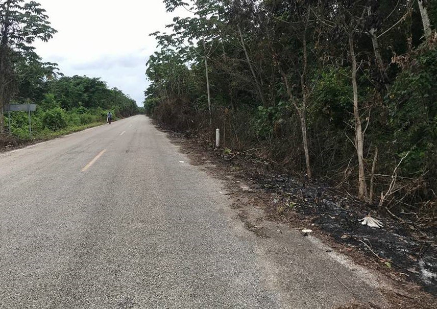 Supervisan limpieza de caminos que conectan comisarias de Tizimín Supervisan limpieza de caminos que conectan comisarias de Tizimín