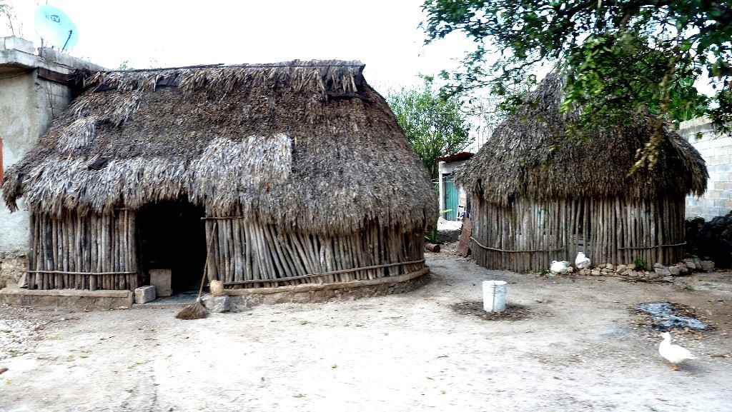 Medidas para proteger la "Casa de Huano" Medidas para proteger la "Casa de Huano"