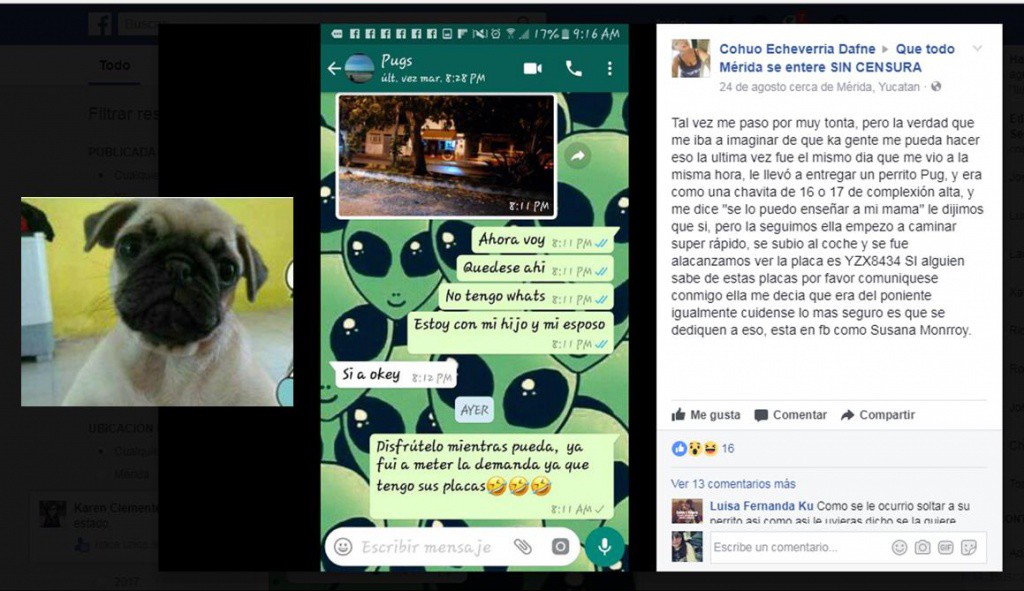 La contactaron por "face" para robarle a su perro La contactaron por "face" para robarle a su perro
